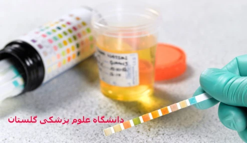 کنفرانس علمی یک روزه آنالیز نمونه ادرار و تفسیر نتایج آن