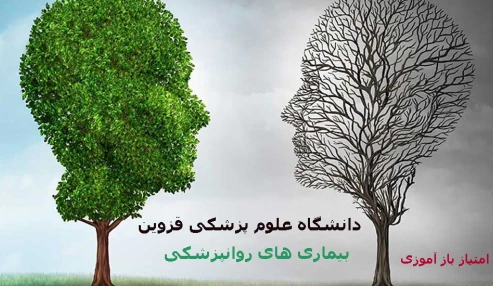 کنفرانس علمی یک روزه	بیماری های روان پزشکی