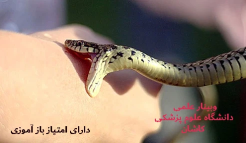 وبینار علمی  کنفرانس علمی یک روزه گزش مار و عقرب