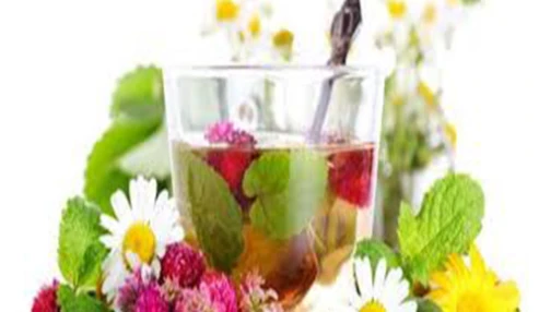 وبینار علمی  گیاهان دارویی موثر بر سیستم عصبی و دستگاه گوارش