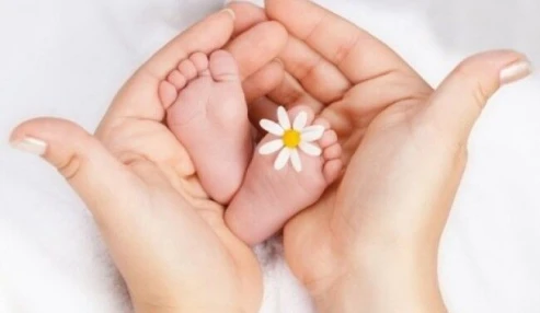 وبینار علمی  بهداشت باروری