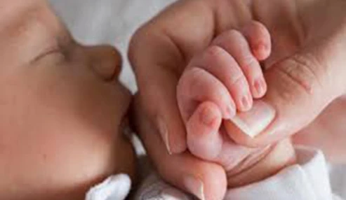 کنفرانس یکروزه پره ترم لیبر