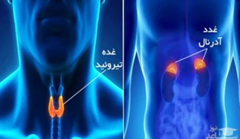 وبینار علمی  تازه های تشخیص و درمان توده آدرنال