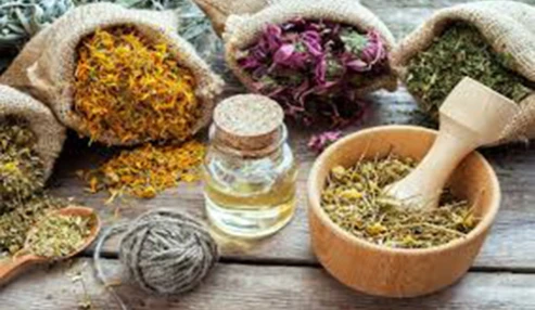 وبینار علمی  گیاهان دارویی و داروهای گیاهی موثر در بیماری های تنفسی