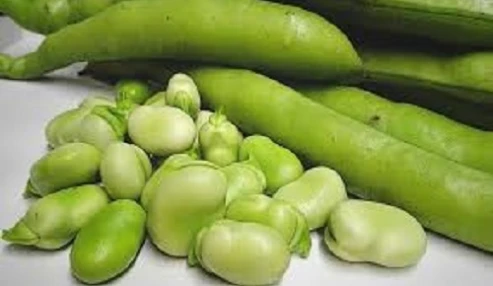 وبینار علمی  فاویسم در کودکان